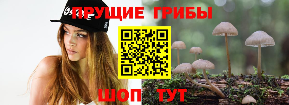 Усинск  купить  сайты  Псилоцибиновые грибы мицелий  Вход с VPN  Галлюциногенные грибы ЛСД 
